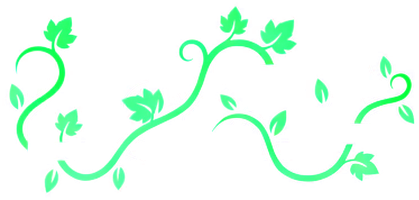 LOZA VPN